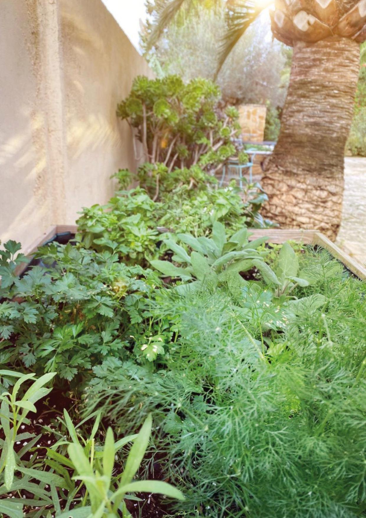 Finca Animas Llucmajor  Extérieur photo